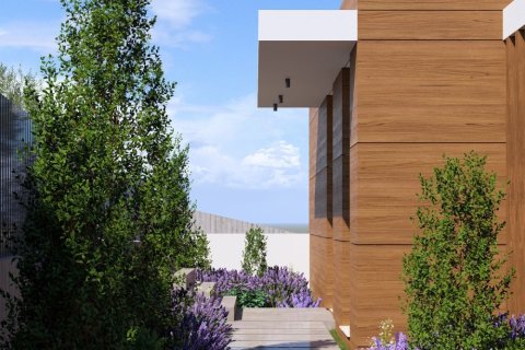 6 chambres Villa à Tremithousa, Paphos, Chypre No. 61527