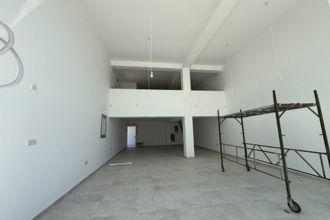170m2 Propriété commerciale à Paphos, Chypre No. 61051
