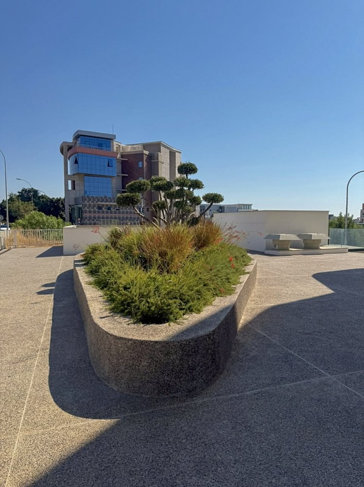 6 rooms Office in Mesa Geitonia, Limassol, Cyprus No. 62333
