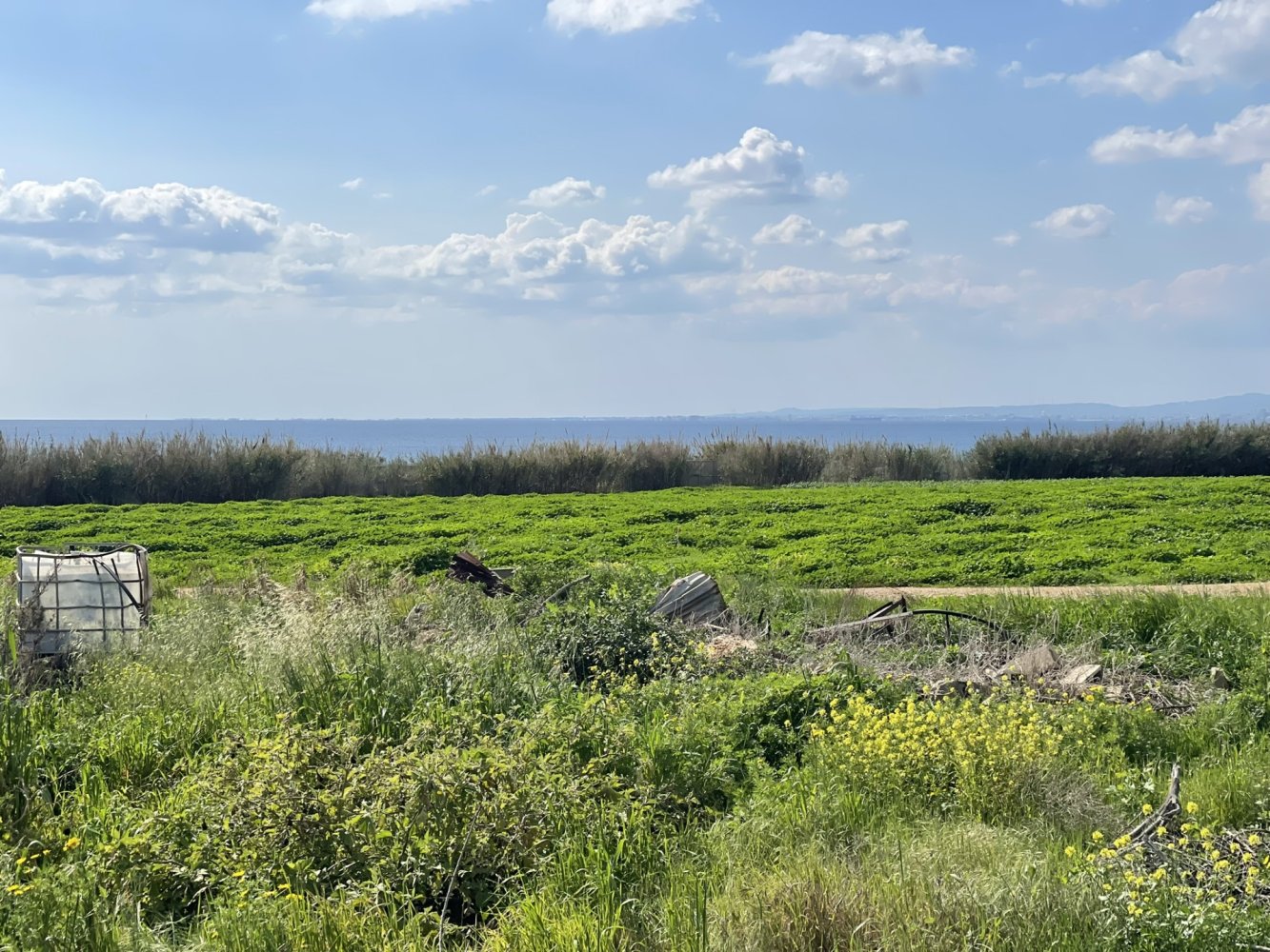 Земельный участок 8801м2 в Ормидея, Ларнака, Кипр № 40321