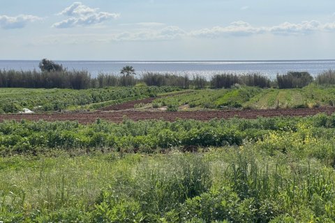Земельный участок 8801м2 в Ормидея, Ларнака, Кипр № 40321