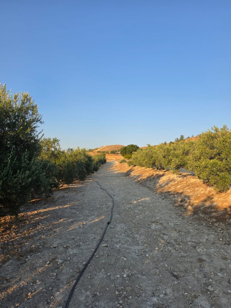 14977m2 Terreno en Aradippou, Larnaka, Chipre No. 61657