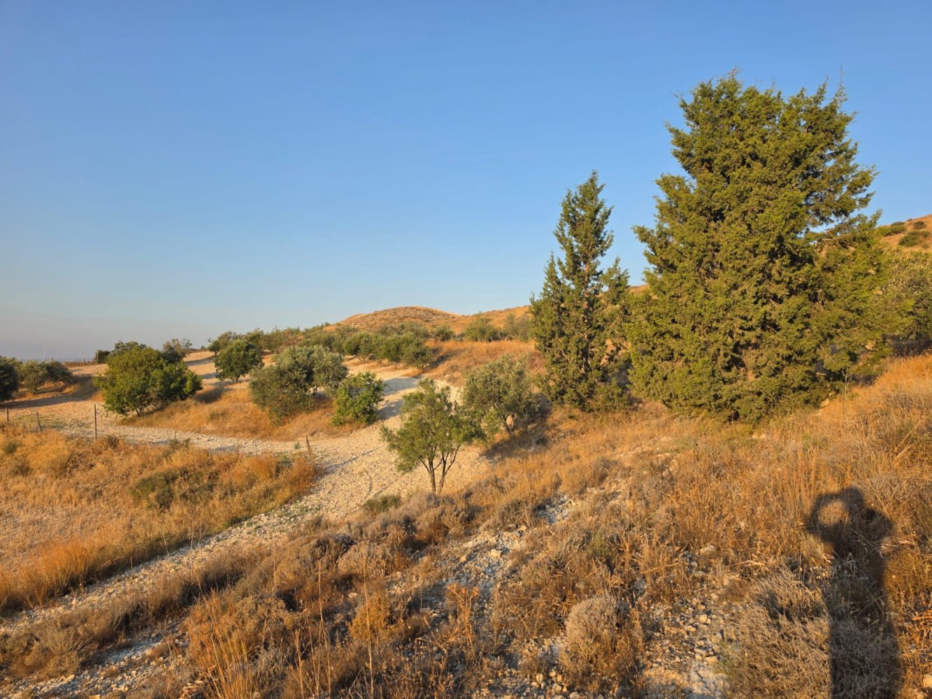 14977m2 Terreno en Aradippou, Larnaka, Chipre No. 61657