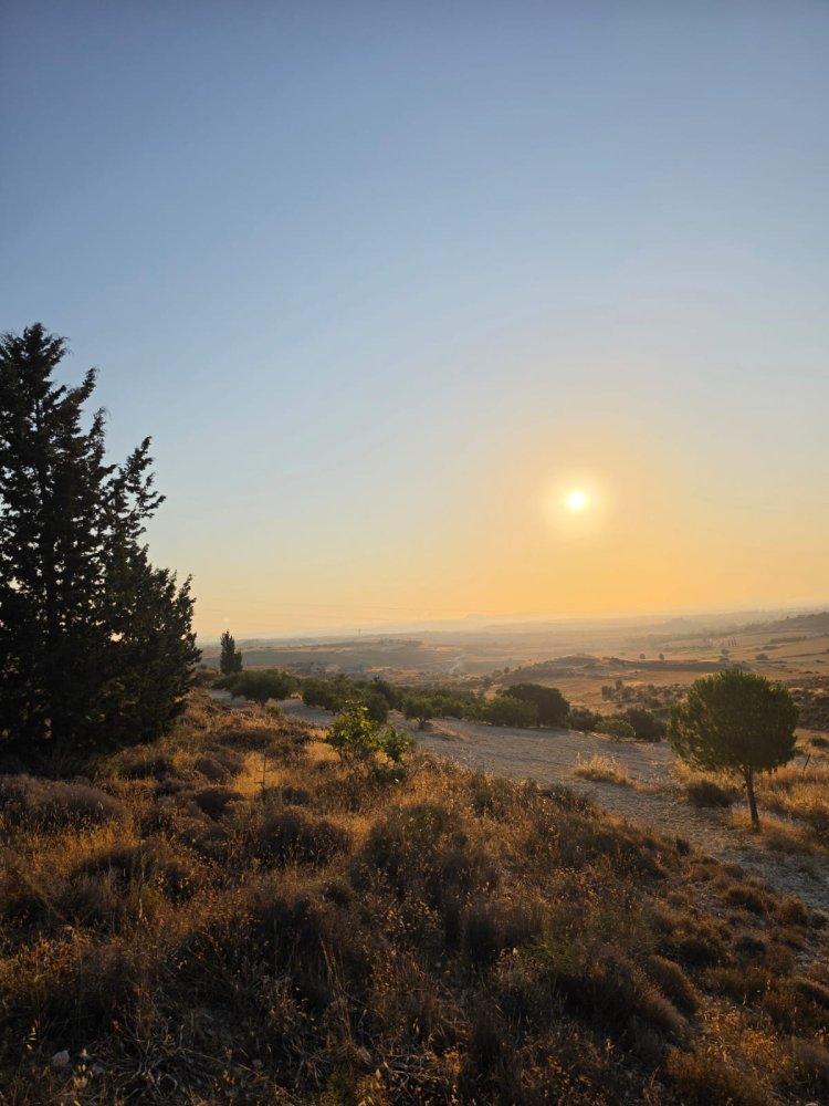 14977m2 Terreno en Aradippou, Larnaka, Chipre No. 61657