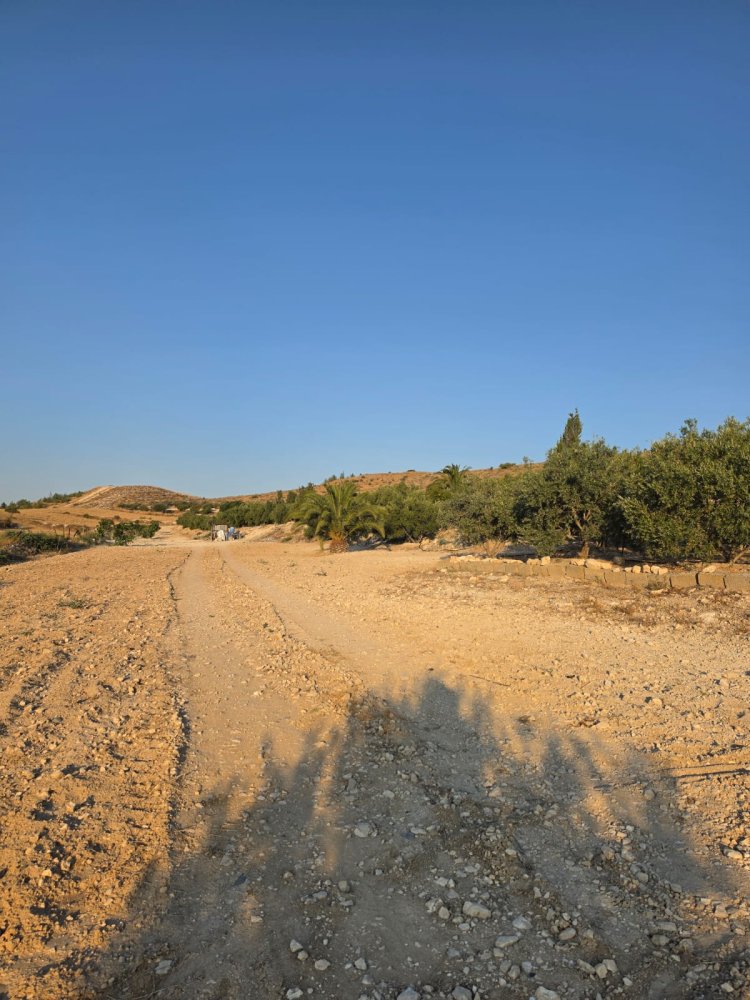 14977m2 Terreno en Aradippou, Larnaka, Chipre No. 61657