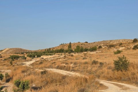 14977m2 Terreno en Aradippou, Larnaka, Chipre No. 61657