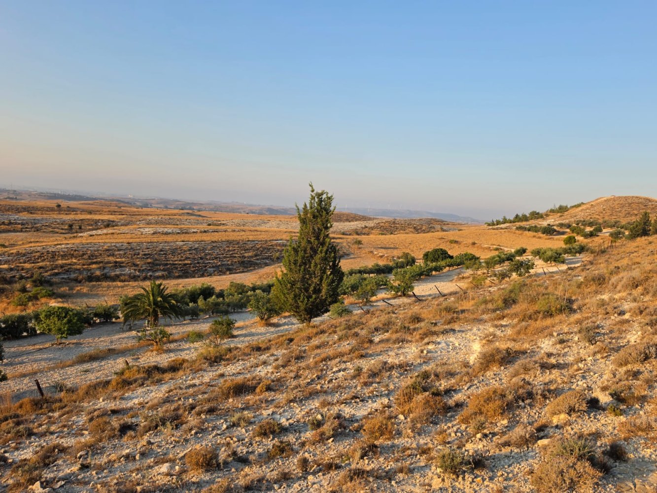 14977m2 Terreno en Aradippou, Larnaka, Chipre No. 61657
