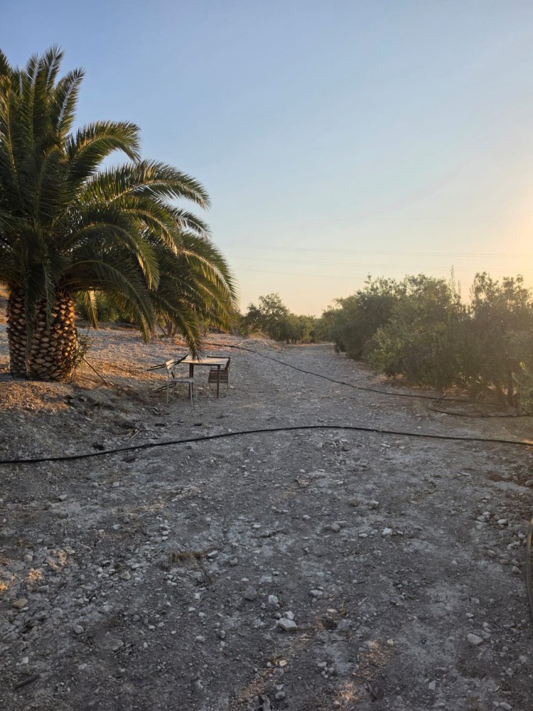 14977m2 Terreno en Aradippou, Larnaka, Chipre No. 61657