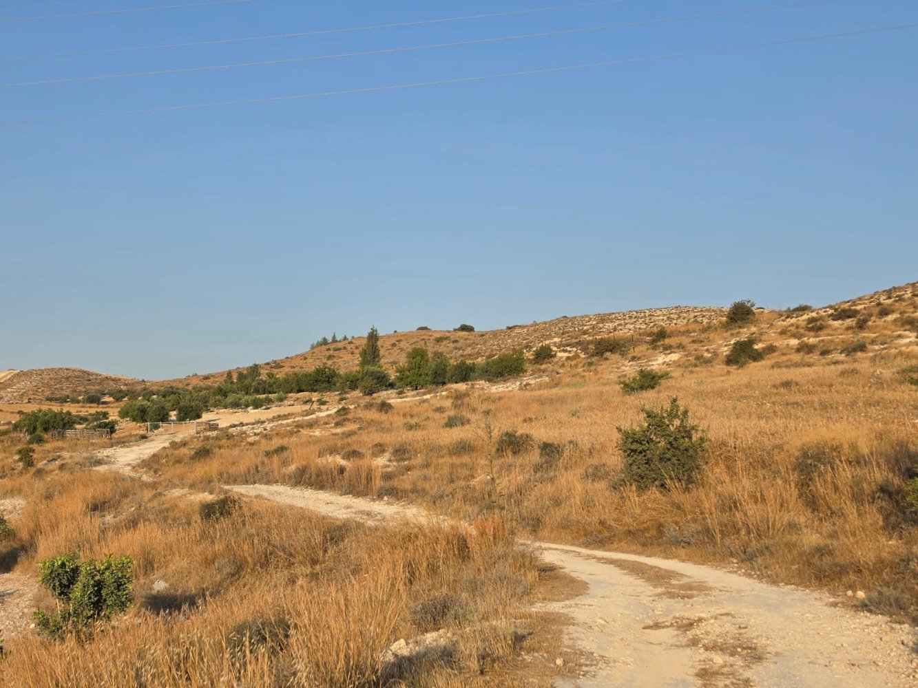 14977m2 Terreno en Aradippou, Larnaka, Chipre No. 61657
