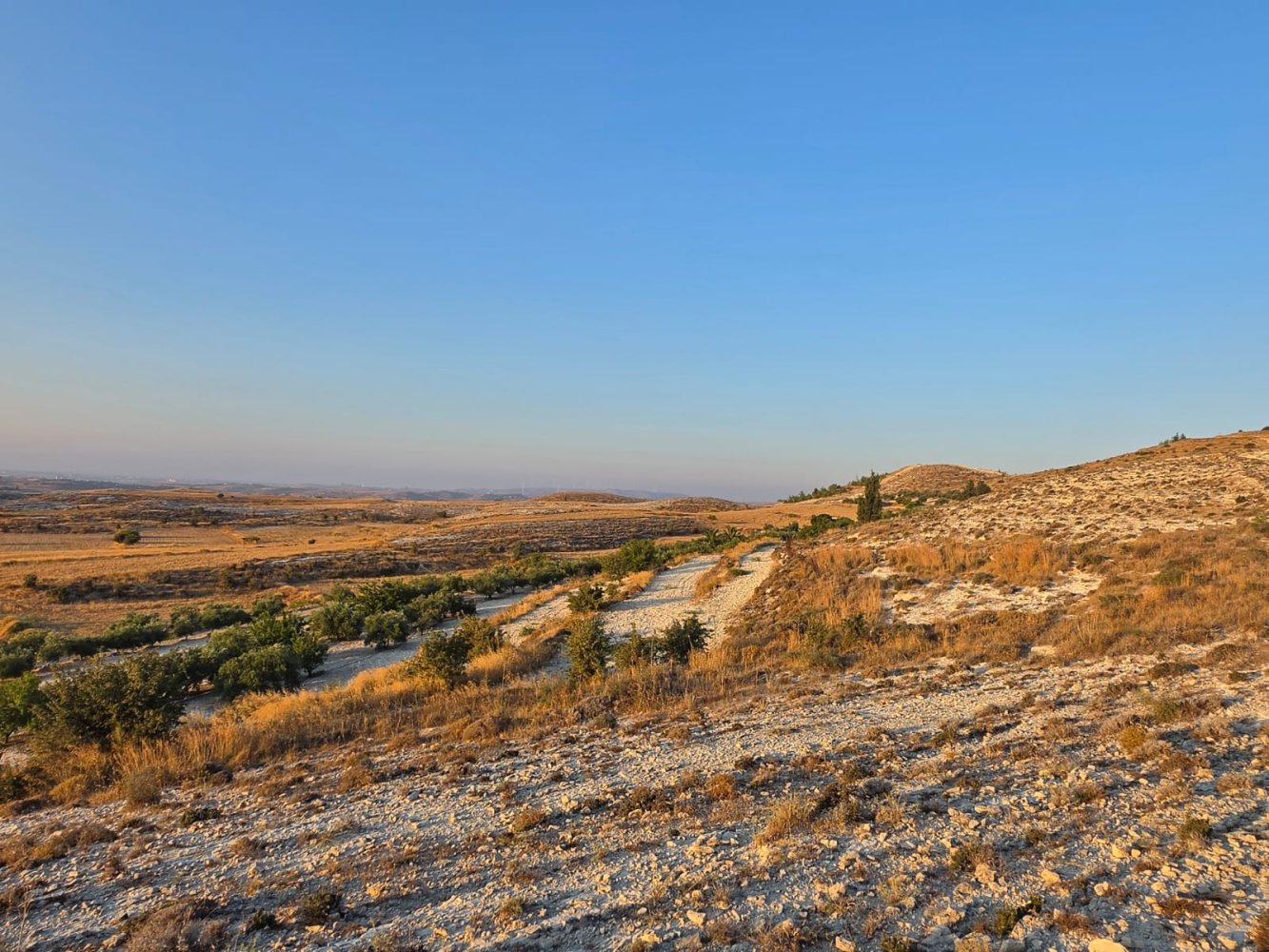 14977m2 Terreno en Aradippou, Larnaka, Chipre No. 61657