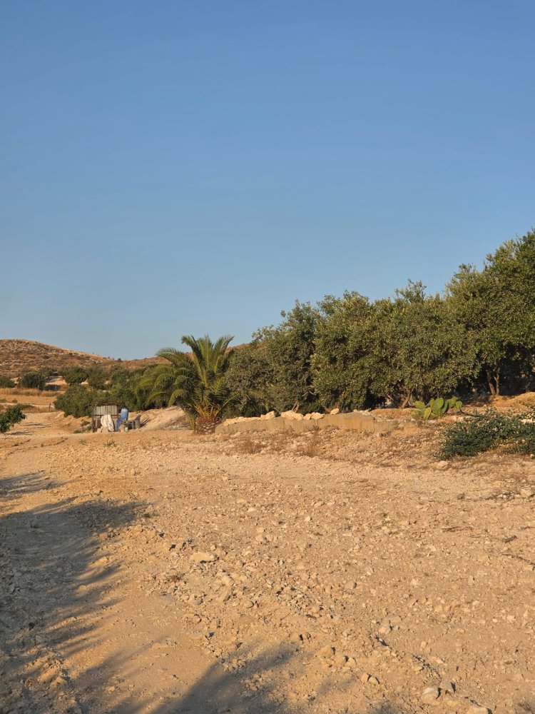 14977m2 Terreno en Aradippou, Larnaka, Chipre No. 61657