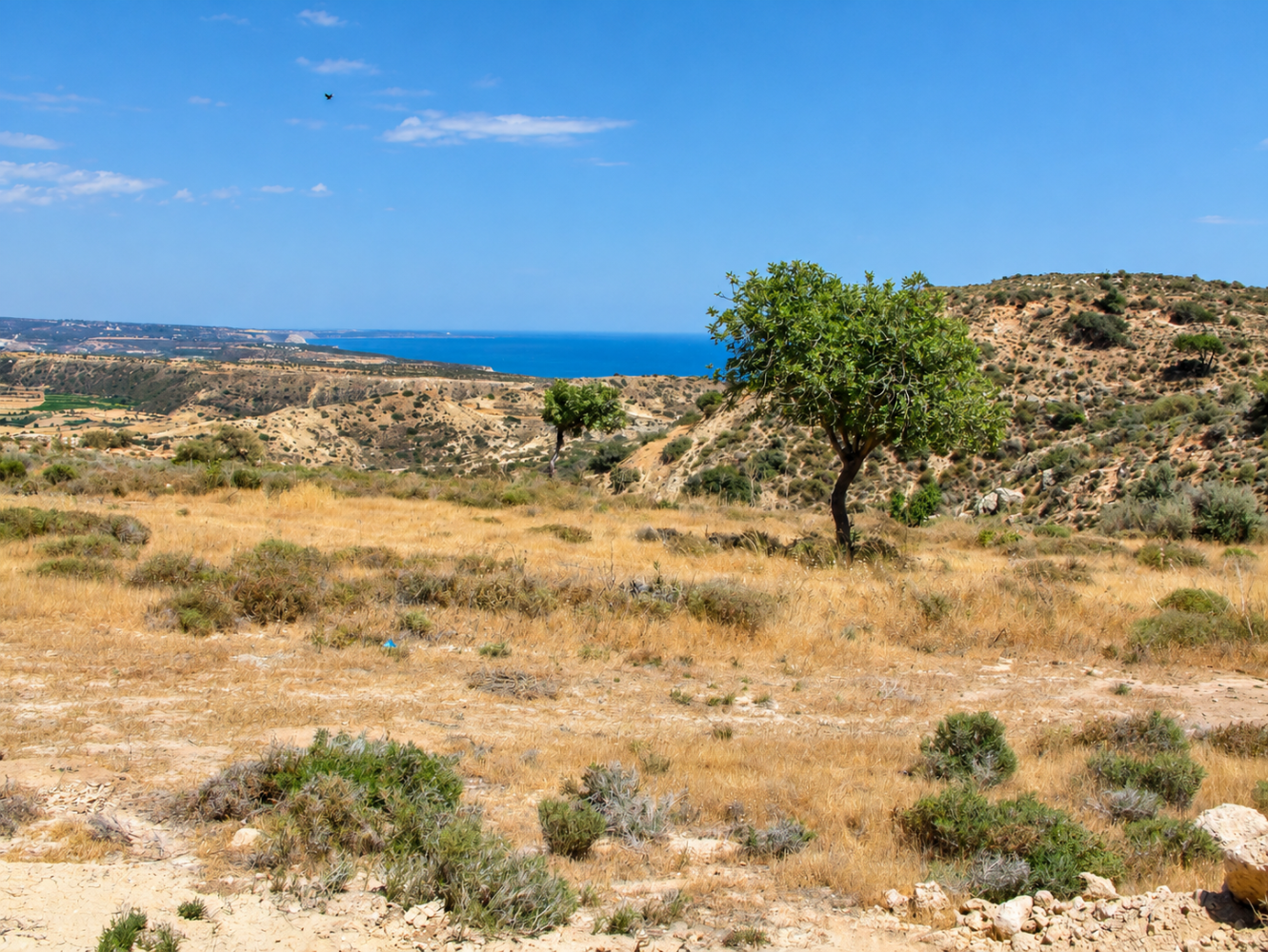 7390m2 Land in Pissouri, Limassol, Cyprus No. 62632