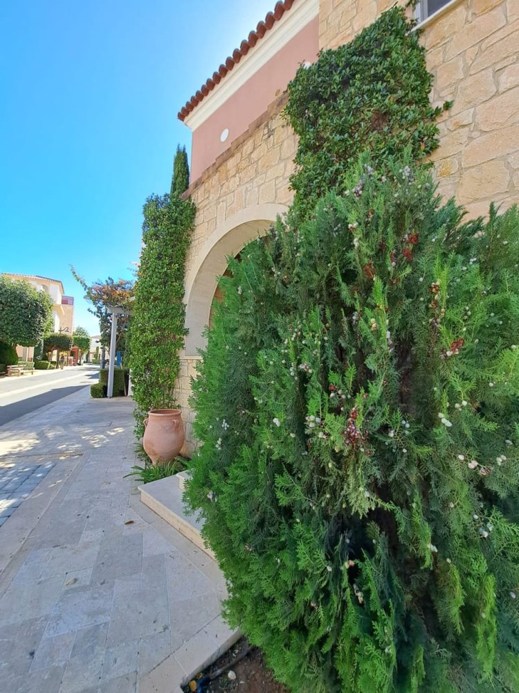 4 bedrooms Villa in Limassol, Cyprus No. 62713