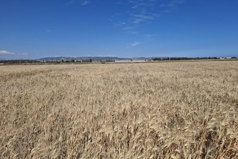 6987m2 Land in Agia Marinouda, Paphos, Cyprus No. 60398
