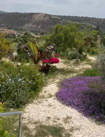 16257m2 Land in Nikokleia, Paphos, Cyprus No. 61433
