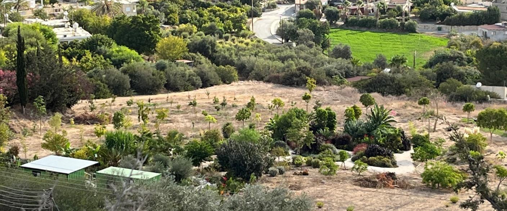 16257m2 Land in Nikokleia, Paphos, Cyprus No. 61433