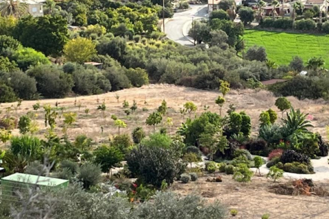 16257m2 Land in Nikokleia, Paphos, Cyprus No. 61433