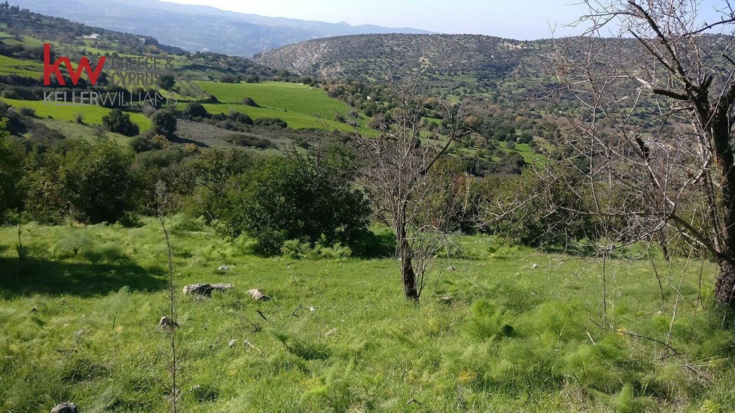 29782m2 Land in Lysos, Paphos, Cyprus No. 61149