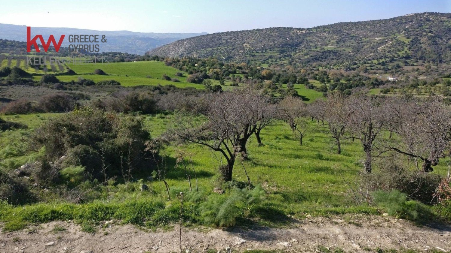 29782m2 Land in Lysos, Paphos, Cyprus No. 61149
