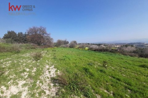 3679m2 Land in Kallepia, Paphos, Cyprus No. 60788