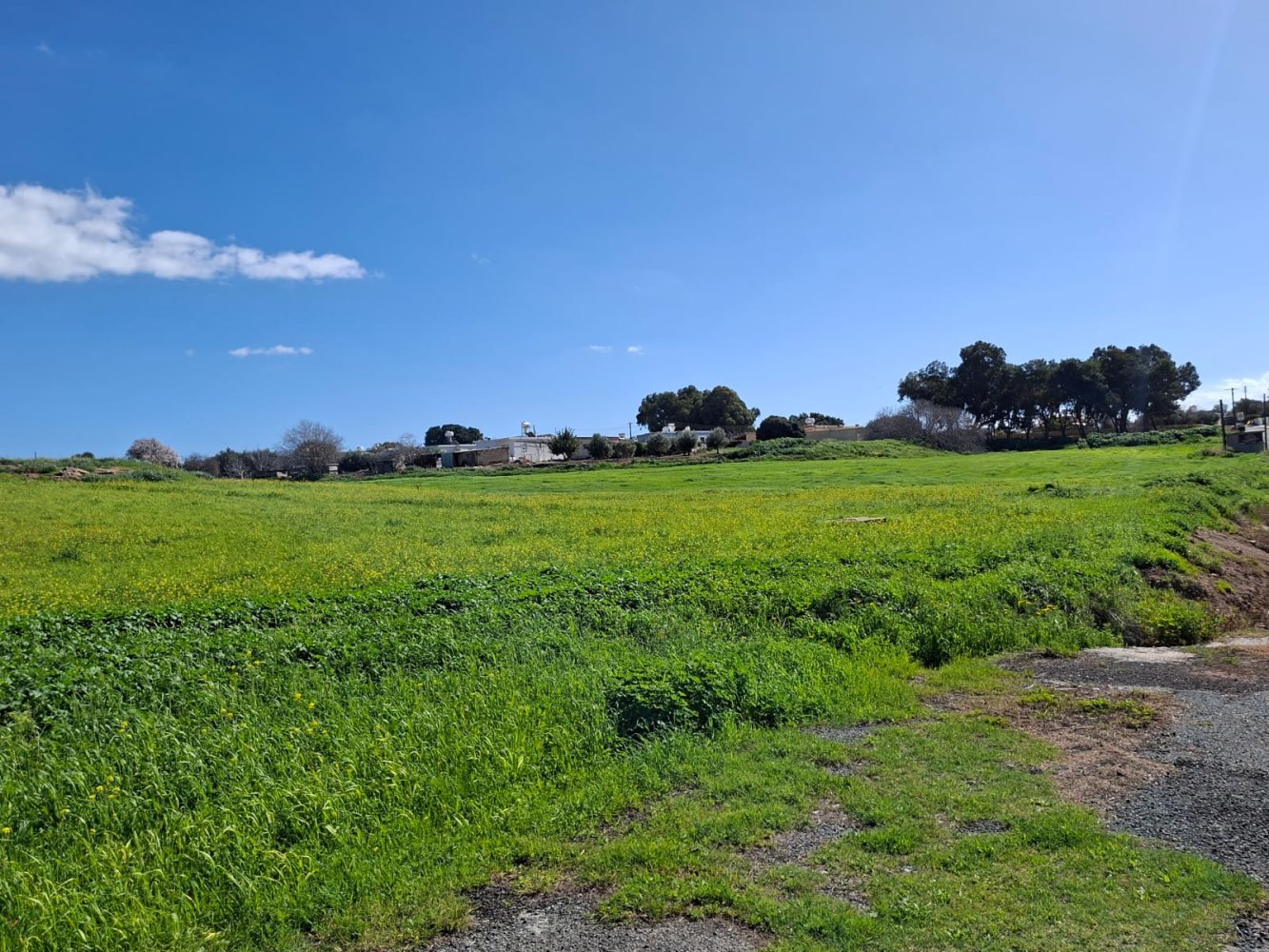 7832m2 Land in Timi, Paphos, Cyprus No. 61336