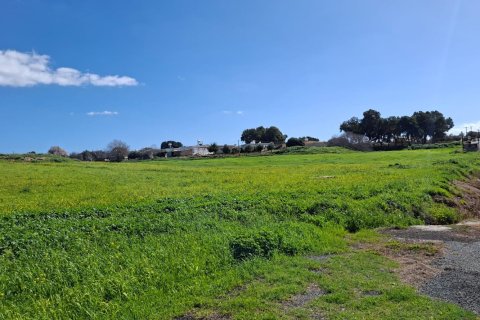 7832m2 Land in Timi, Paphos, Cyprus No. 61336