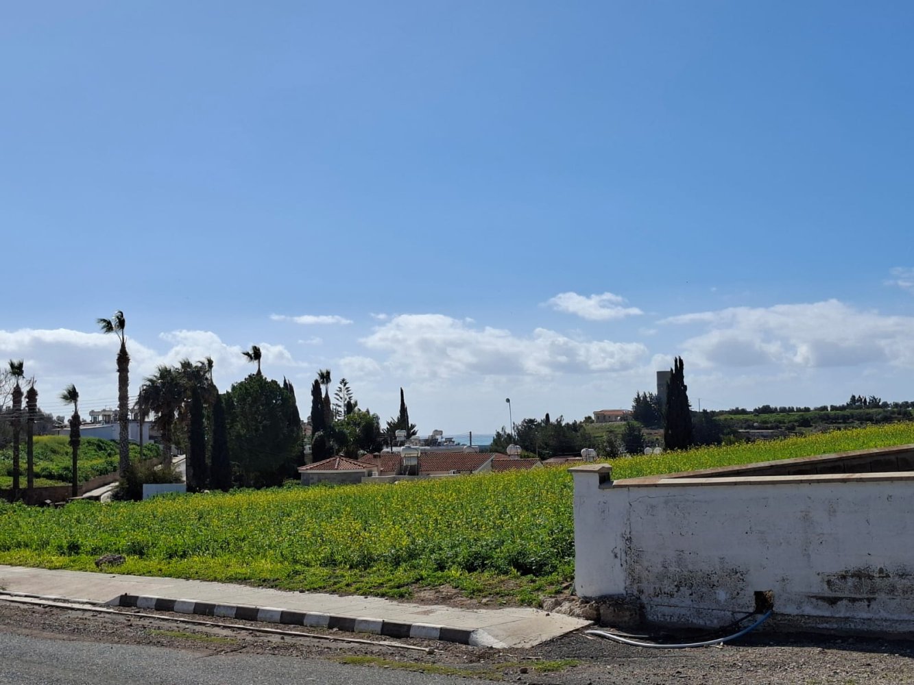 7832m2 Land in Timi, Paphos, Cyprus No. 61336