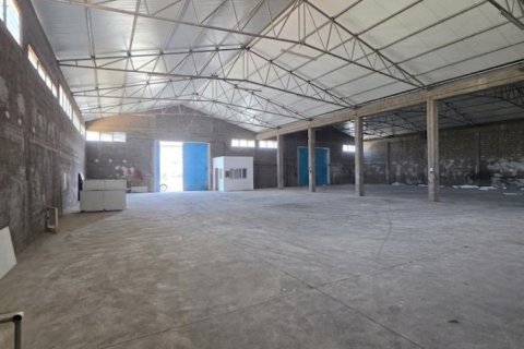 Коммерческая недвижимость 1000м2 в Ипсонас, Лимасол, Кипр № 61069