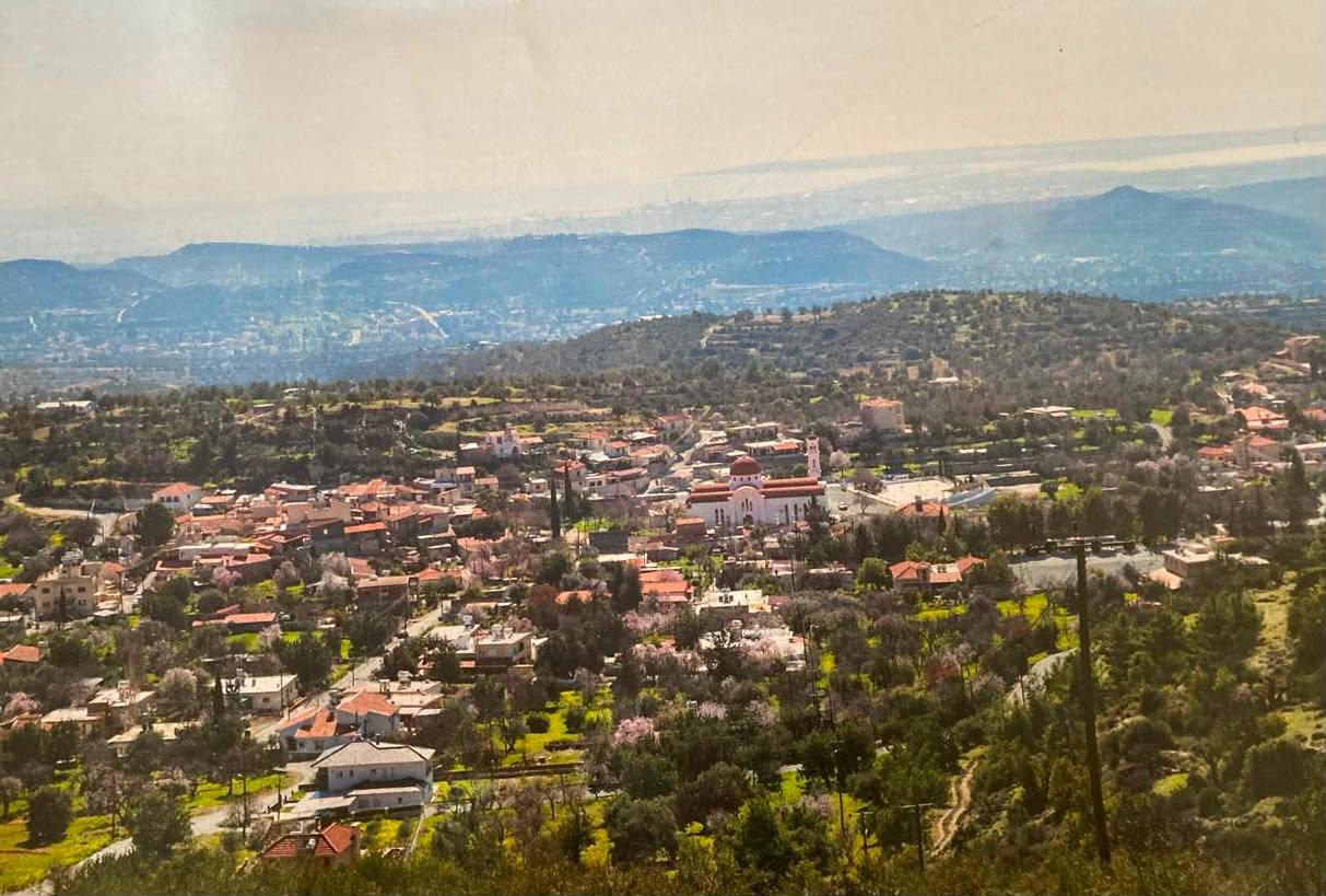 18646m2 Land in Apesia, Limassol, Cyprus No. 61643