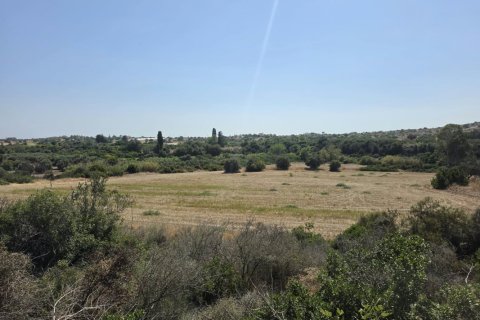 17057m2 Terrain à Maroni, Larnaka, Chypre No. 65479
