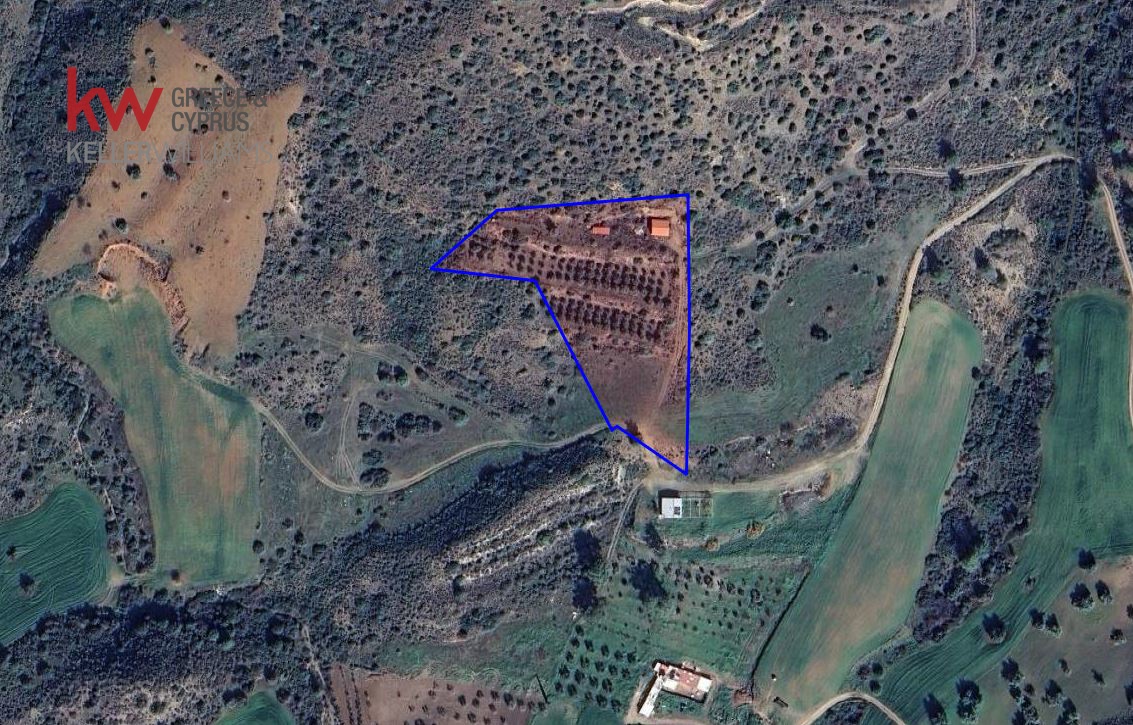 8696m2 Terrain à Pano Lefkara, Larnaka, Chypre No. 56740