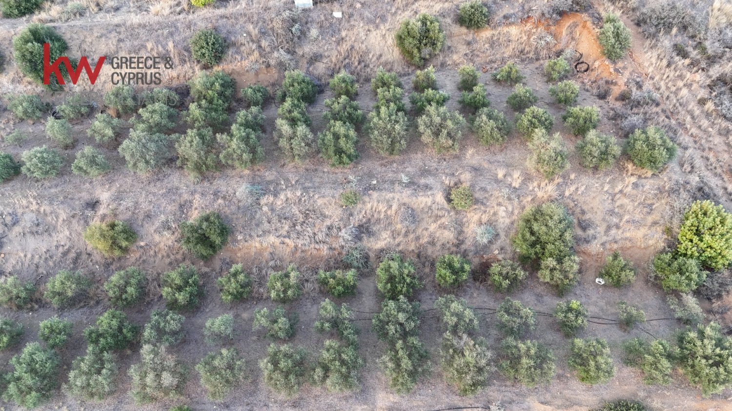 8696m2 Terrain à Pano Lefkara, Larnaka, Chypre No. 56740