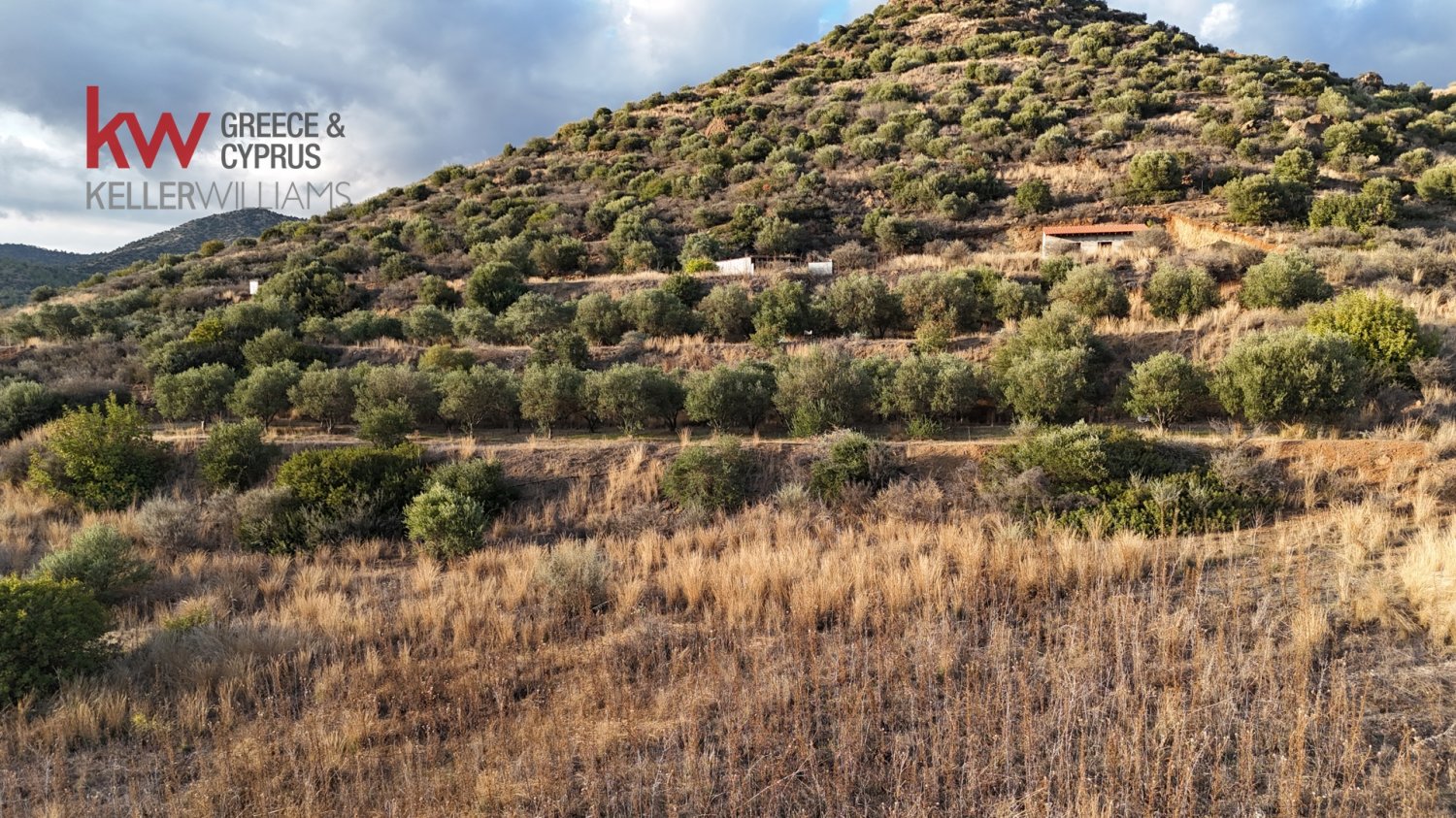 8696m2 Terrain à Pano Lefkara, Larnaka, Chypre No. 56740