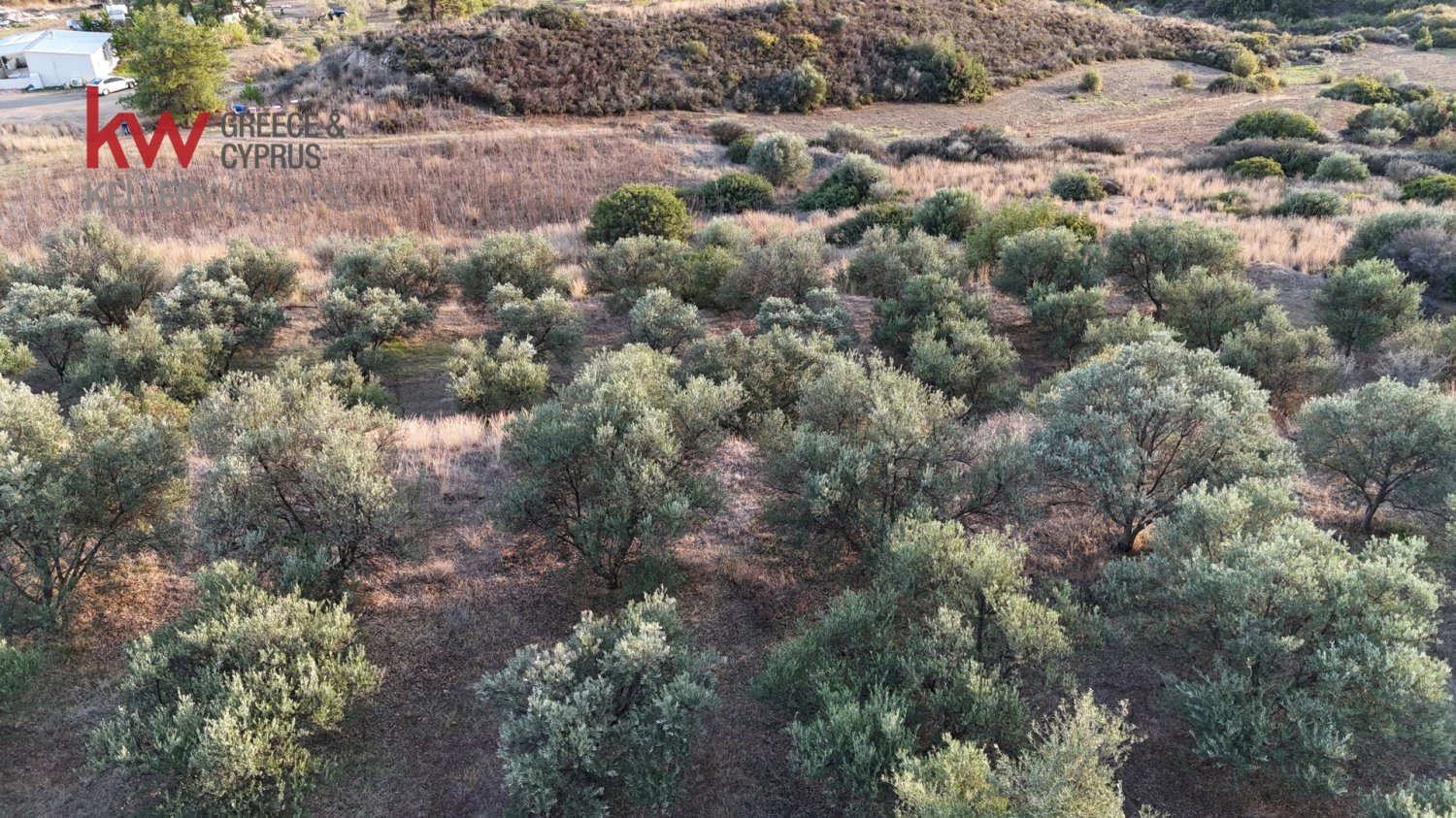 8696m2 Terrain à Pano Lefkara, Larnaka, Chypre No. 56740