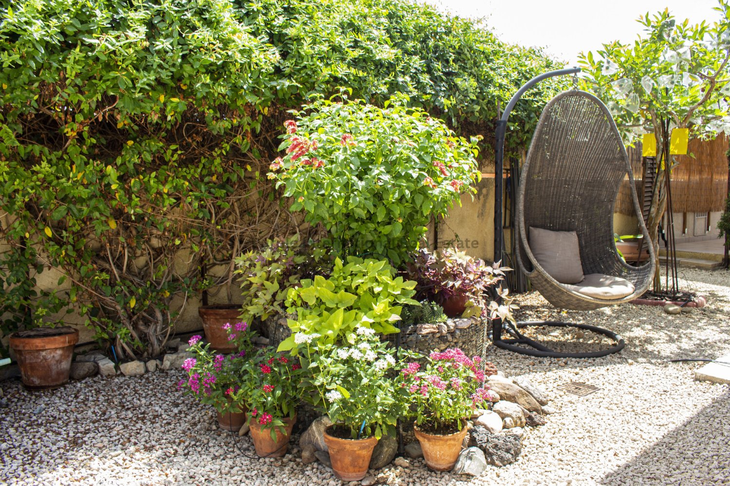 3 dormitorios Bungalow en Kissonerga, Paphos, Chipre No. 58981