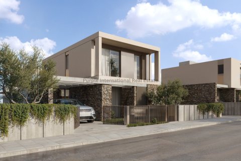 3 bedrooms Villa in Geroskípou, Paphos, Cyprus No. 59030
