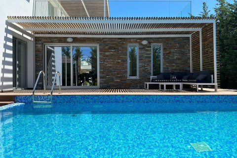 3 dormitorios Villa en Geroskípou, Paphos, Chipre No. 60528
