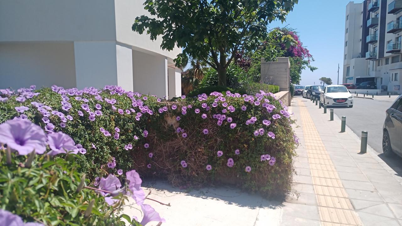 2 dormitorios Apartamento en Larnaca, Larnaka, Chipre No. 61647