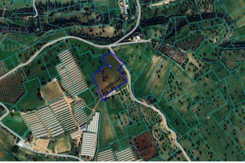 13379m2 Land in Mazotos, Larnaka, Cyprus No. 40030