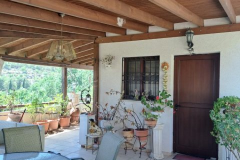 3 bedrooms Villa in Arsos, Limassol, Cyprus No. 62767