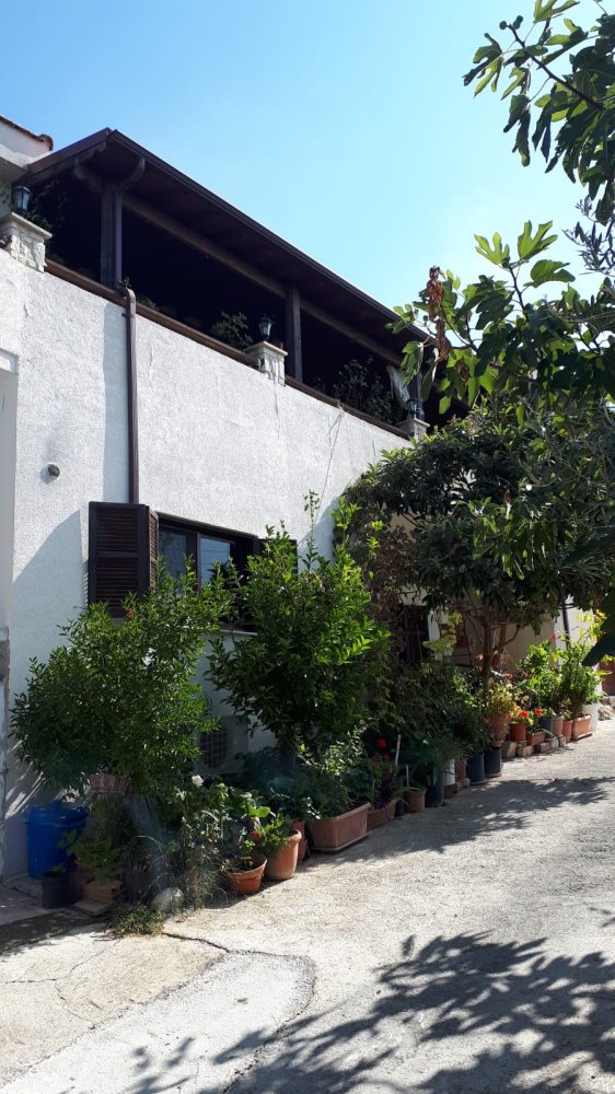3 bedrooms Villa in Arsos, Limassol, Cyprus No. 62767