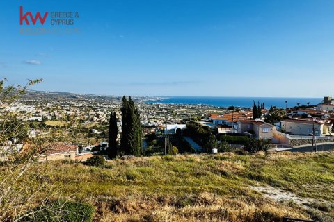 5966m2 Land in Pegeia, Paphos, Cyprus No. 60635