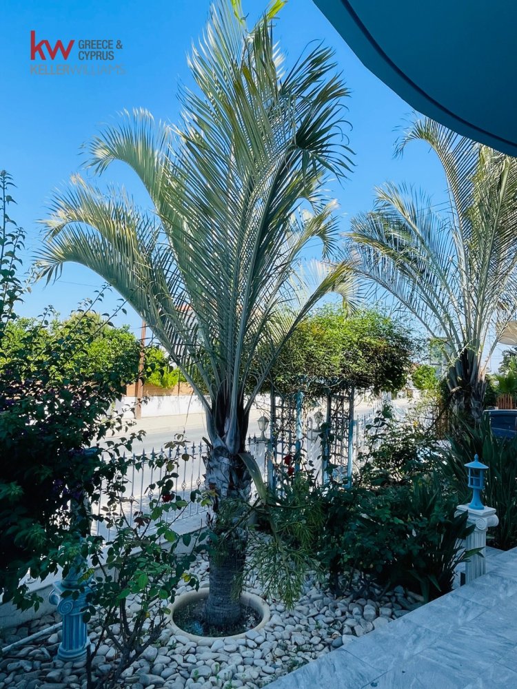 3 chambres Villa à Livadia, Larnaka, Chypre No. 39934