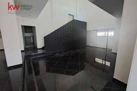 Коммерческая недвижимость с 11 комнатами в Ларнака, Кипр № 50638