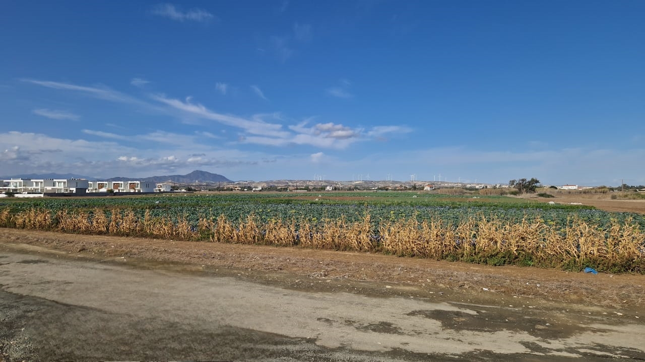 6890m2 Terrain à Softades, Larnaka, Chypre No. 51458