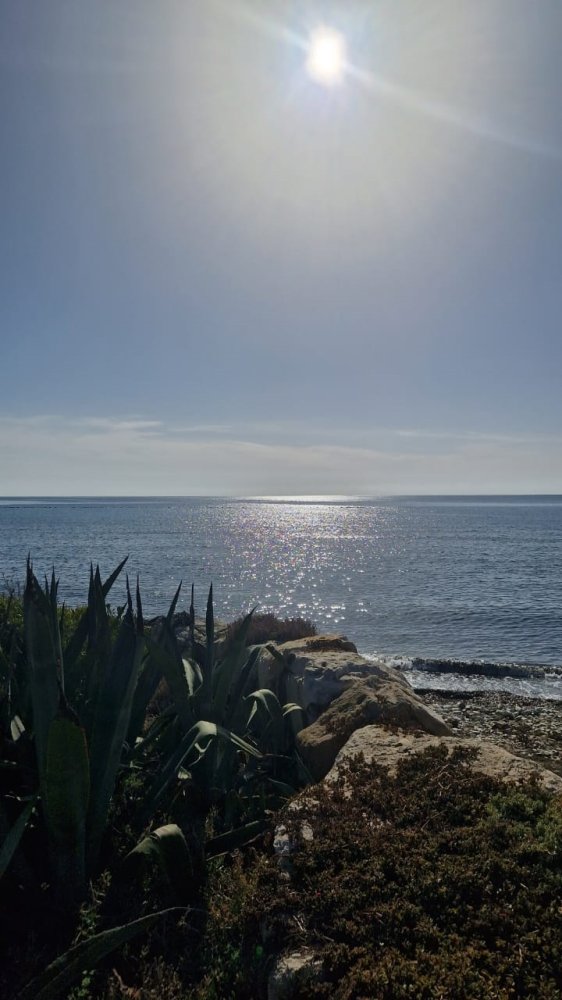 6890m2 Terrain à Softades, Larnaka, Chypre No. 51458