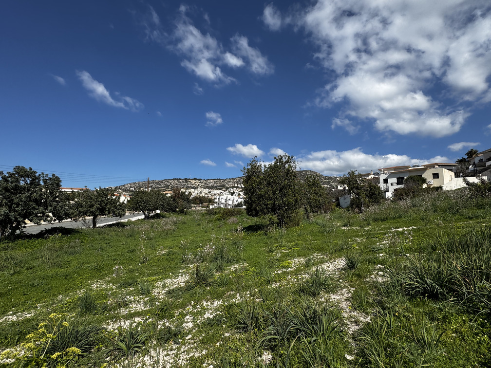 3697m2 Land in Pegeia, Paphos, Cyprus No. 60633