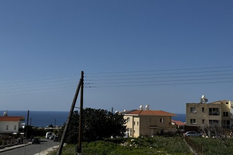 3697m2 Land in Pegeia, Paphos, Cyprus No. 60633