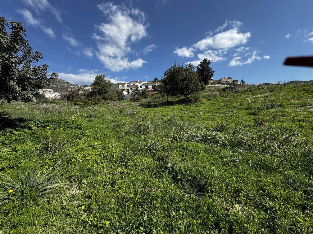 3697m2 Land in Pegeia, Paphos, Cyprus No. 60633