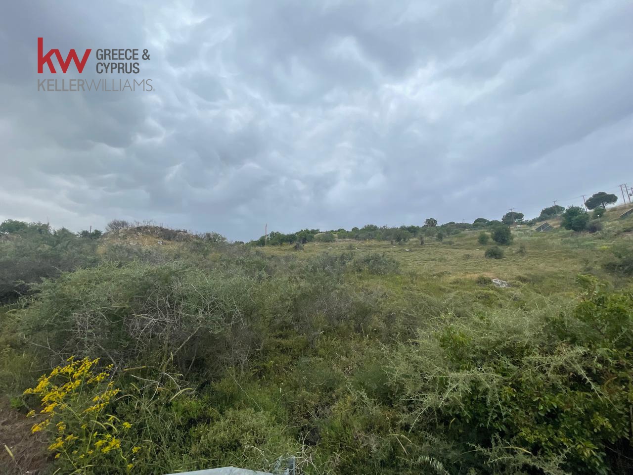8082m2 Land in Dhrousha, Paphos, Cyprus No. 61202